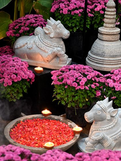 Greenhouse - Living Botanical Art & Arrangements Heritage Stone Sculptures & Fountains photo 13