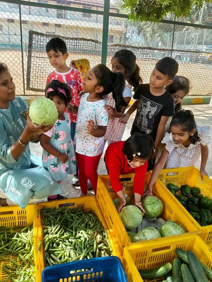 Nivriti Montessori - Summer Camp Field Trips & Outdoor Adventures photo 10