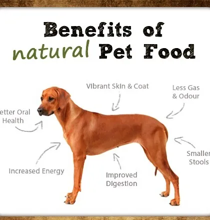 For those interested in natural pet food, this chart highlights some of the key benefits, such as better digestion, increased energy, and a healthier coat. I stock several natural food options, just ask me for recommendations.