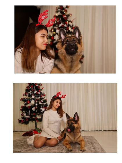 Sniff Stories - Pet & Family Photography Additional Moments photo 3