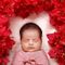 Little Boss Photography