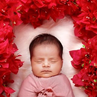 Little Boss Photography