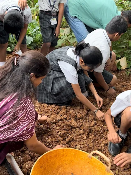 Students get their hands dirty, learning to sow seeds directly in the soil. This activity is a core part of our youth training, connecting them physically and mentally to the process of growing food.