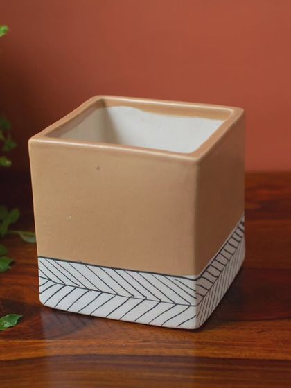 Thorny Affair - Pots & Planters Artisanal Ceramic Planters photo 10