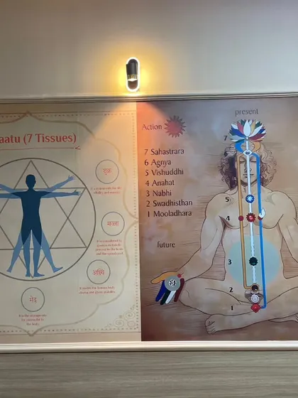 For a wellness or yoga studio, I can create informative and beautiful wall art. This mural displays charts of the seven Dhaatus and chakras, blending educational content with spiritual aesthetics.