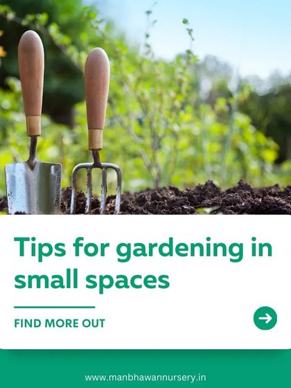 Don't have a big yard? No problem. This image introduces our tips for gardening in small spaces, proving that anyone can create a lush garden with a little creativity and the right techniques.