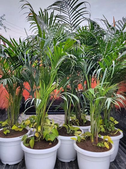 Delhi Gardner - Full-Service Landscaping Our Process: From Concept to Creation photo 19