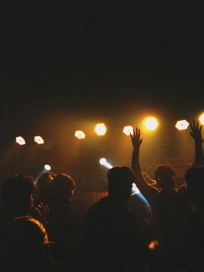 Hands in the air. This silhouette shot of the crowd reaching for the lights perfectly captures the peak moment of a great set.