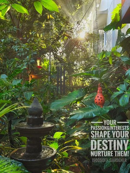 Your passions and interests shape your destiny, so it is important to nurture them. This morning view of our garden is a daily reminder of the joy that comes from pursuing what you love.