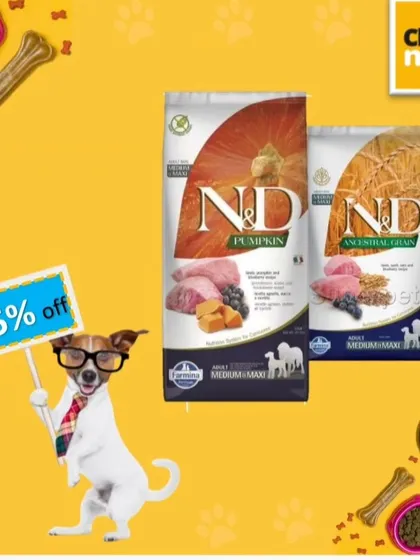 For pet parents looking for grain-free options, I stock N&D Pumpkin and Ancestral Grain formulas. These are great for dogs with sensitive stomachs, and I often have a 15% discount on them.