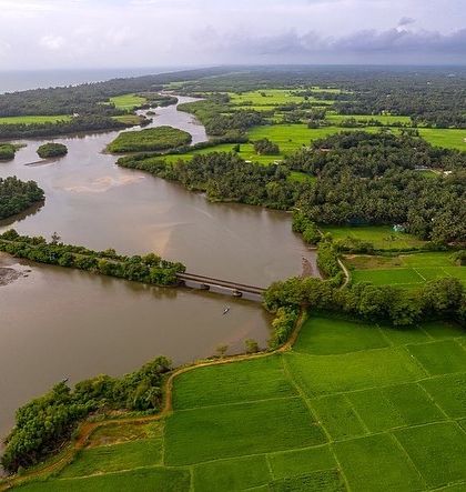 An aerial perspective of the lush green backwaters and mangrove forests around Udupi. This view reveals the intricate ecosystems that thrive where the river meets the sea.