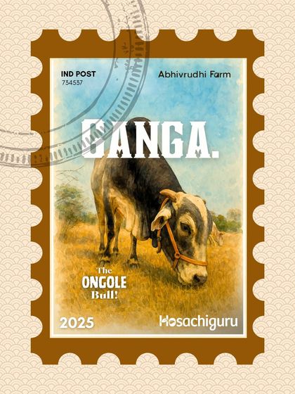 A stamp celebrating Ranga, our Ongole bull at Abhivrudhi Farm. These powerful animals are a symbol of strength and an important part of India's agricultural heritage, which we are proud to preserve.