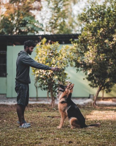 Dog Training