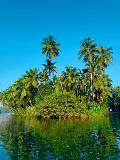 A small island of palm trees in the middle of the river, a beautiful sight during our Honnavar boat trip.
