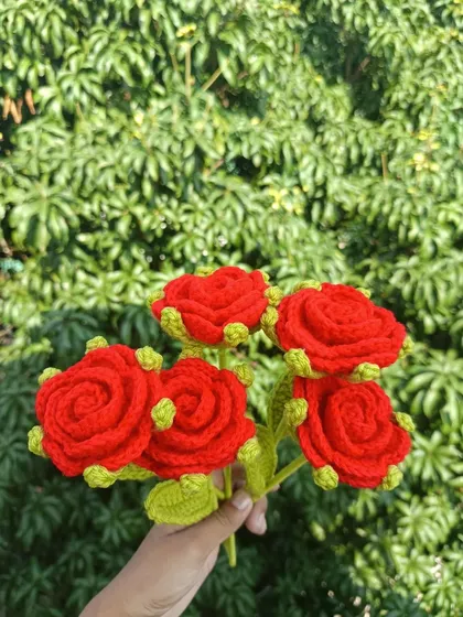 A handful of five vibrant red roses.
