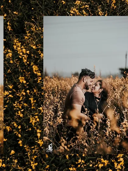 A romantic collage of a couple in a sunlit field, capturing their loving gazes and gentle embraces.