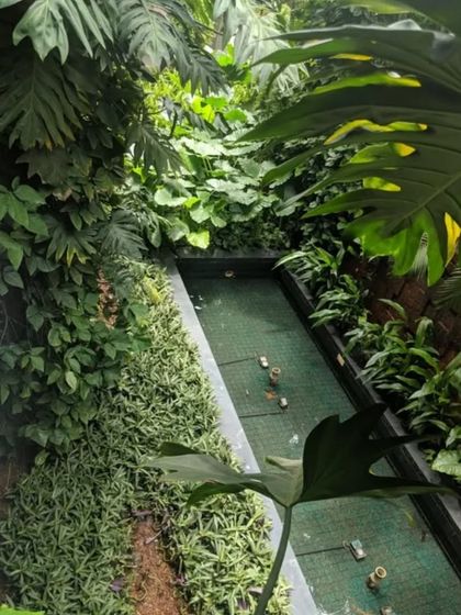 An aerial view of a long, narrow water body flanked by a vertical garden on one side and lush foliage on the other. This design is perfect for adding a water element to a constrained space.