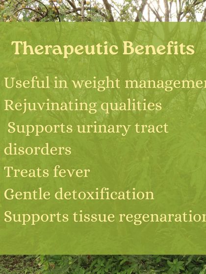 Discover the benefits of Amla, or Indian gooseberry, a fruit treasured in Ayurveda for its rejuvenating properties. We show you how to use it in everything from chutneys to hair oil.