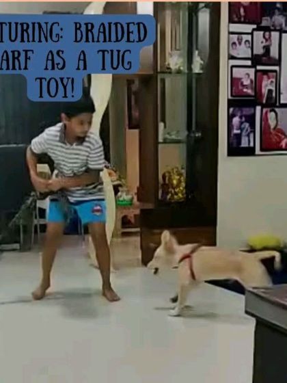 Here's a great example of a DIY braided scarf being used as a tug toy! It's a wonderful way to play interactively and burn off some of your dog's energy.