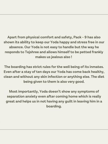 A special testimonial from Yoda's guardians, who appreciate our strict rules for well-being and the stress-free environment.