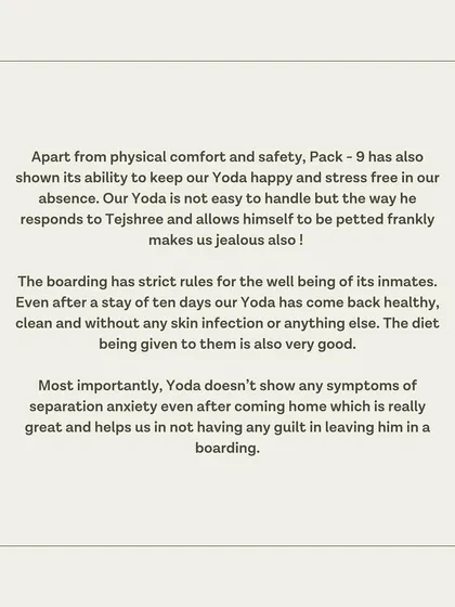 A special testimonial from Yoda's guardians, who appreciate our strict rules for well-being and the stress-free environment.
