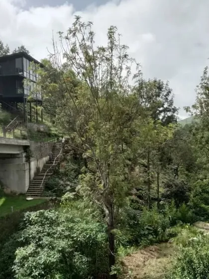 The VAY villas in Hulical are designed as belvederes, or structures with a commanding view. Perched on the hillside, they offer residents a deep connection to the surrounding tea gardens and forests.