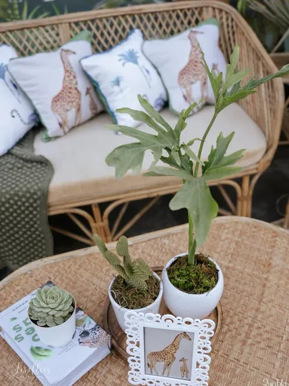 A close-up of a table centerpiece at the safari sundowner, featuring succulents, cacti, and a framed giraffe illustration.