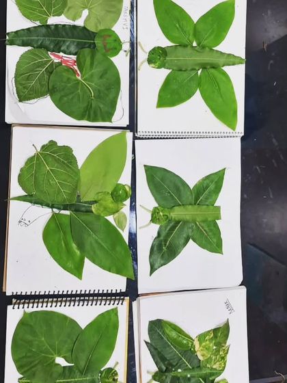 A closer look at the intricate leaf art created by our students. It's incredible to see how they used different shapes and sizes of leaves to form butterfly wings.