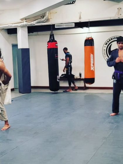 In the Gi: Classic BJJ photo 5