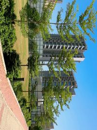 Landscape Design & Build