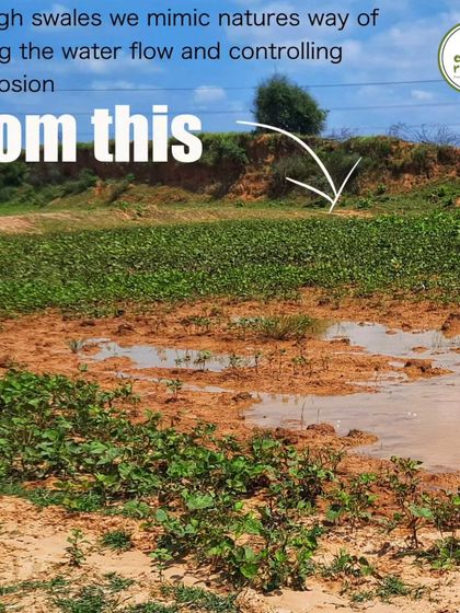Before our intervention, rainwater would cause significant soil erosion on this site in Rajasthan. Our goal was to mimic nature's way of slowing water flow to prevent this loss of valuable topsoil.