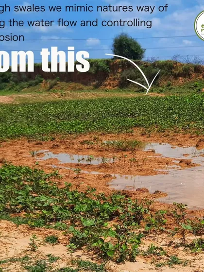 Before our intervention, rainwater would cause significant soil erosion on this site in Rajasthan. Our goal was to mimic nature's way of slowing water flow to prevent this loss of valuable topsoil.