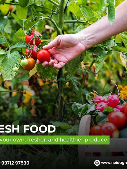 A Glimpse of Our Nursery photo 6