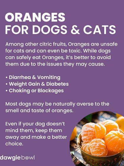 Oranges and other citric fruits are generally unsafe for cats and not recommended for dogs. They can cause digestive upset and other issues, so it's best to avoid them altogether.