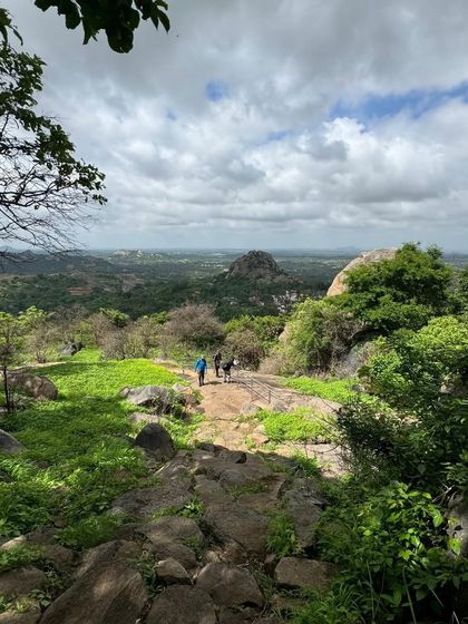 The beautiful, lush green landscape as seen from the trail of Uttari Betta. It's a refreshing change of scenery from the city.
