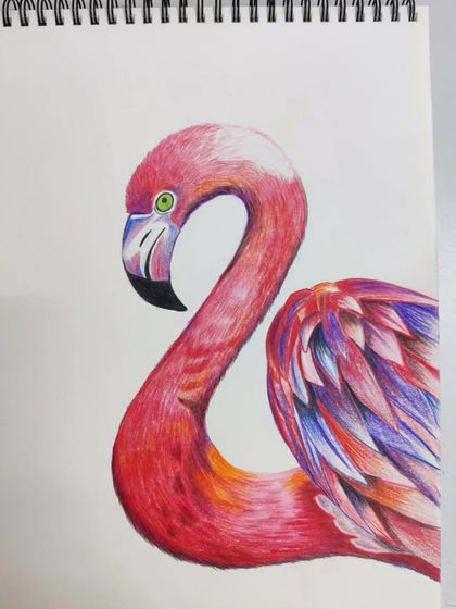 Close-up shots of a beautifully rendered flamingo, created with color pencils to showcase vibrant colors and fine details.