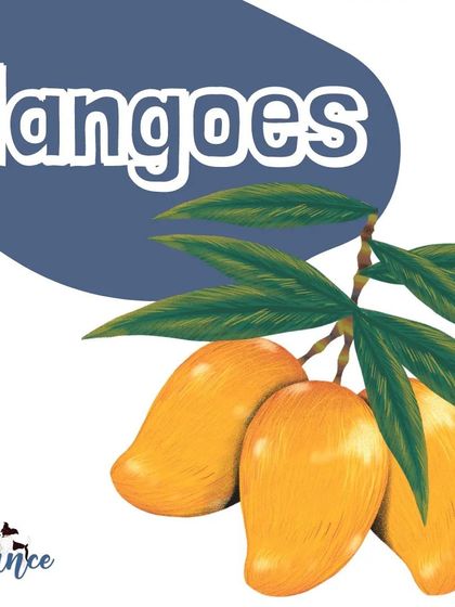 Mangoes are a safe and tasty summer treat for dogs! Just be sure to remove the large pit and the skin before sharing a few small pieces.