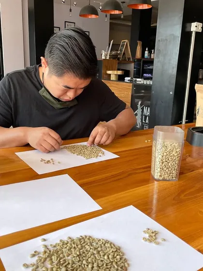 We're always exploring emerging coffee regions. Here, a student is sorting green beans from Nagaland, a hidden gem in India's coffee landscape.