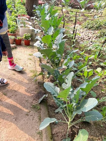 Fun-Filled Holiday Camps photo 19