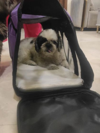 Adventures in the USA photo 15