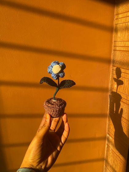 Signature Potted Flowers photo 14