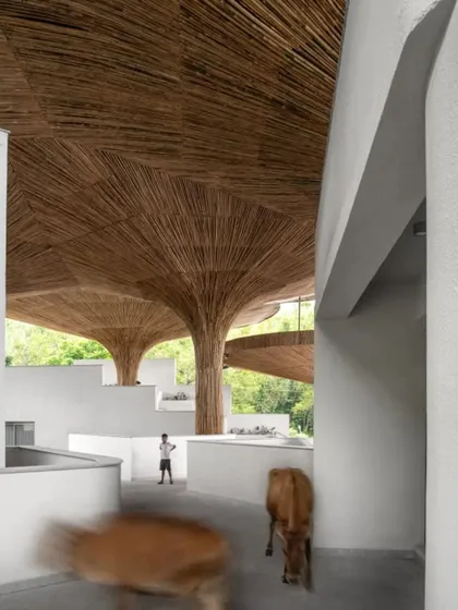 Movement is fluid and unscripted at the TAPMI Centre, where people and animals can wander through the open ground floor. This reflects our goal to create truly porous and democratic public spaces.