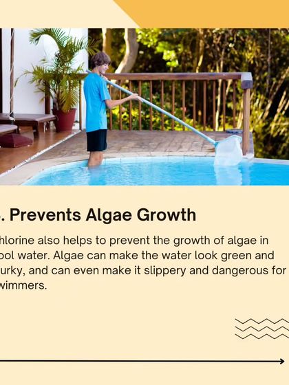 The Nappy Nemo Method: For Parents photo 34