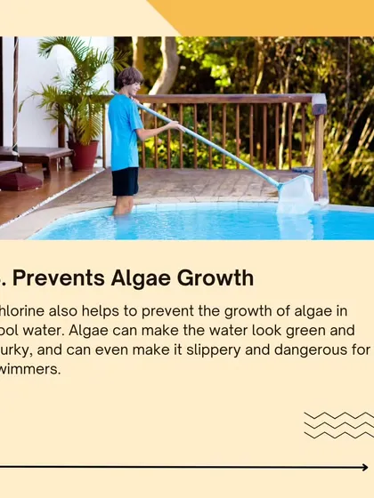 Reason #3: Chlorine prevents the growth of algae. Algae can make the water green and murky, and can even make surfaces slippery and dangerous. Chlorine keeps the pool safe and clean.