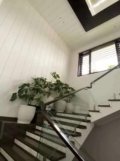 In this modern Mysore home, I placed large potted plants along the staircase landing. The simple white pots and lush green leaves create a beautiful contrast with the dark wood and glass railing.
