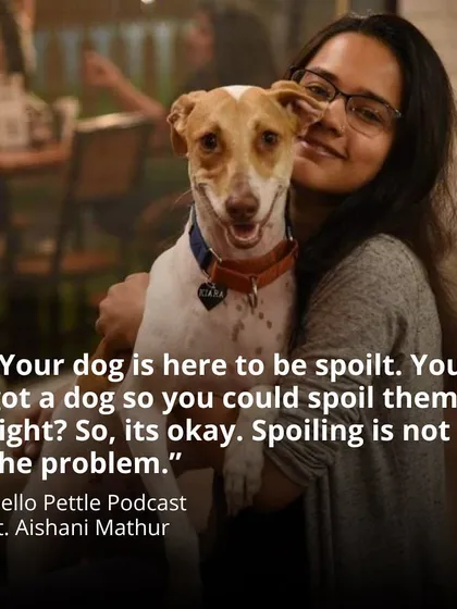 Your dog is here to be spoilt. You got a dog so you could spoil them, right? So, it's okay. Spoiling is not the problem. The problem is when we don't meet their fundamental needs for exercise, enrichment, and understanding.
