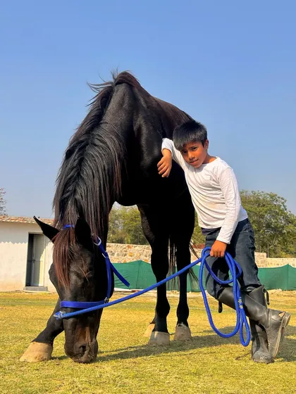 A young boy shares a moment with one of our calmest horses. We encourage children to interact with the animals, teaching them kindness and respect from a young age.