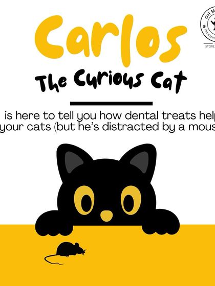 Oh My Dawg - Pet Supplies Grooming & Hygiene photo 5