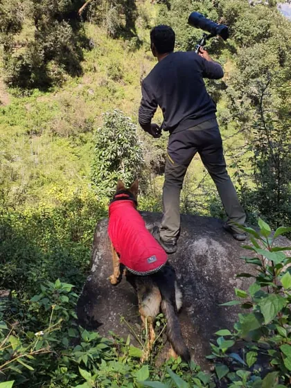Here I am in my element, set up on a rock in the dense forests of Uttarakhand with my telephoto lens. My dog Jiraiya is right there with me, my constant companion on these photography expeditions.