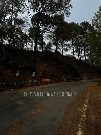 'Pahad vali long walk par chale?' An inviting shot of an empty mountain road, perfect for inspiring a sense of adventure.